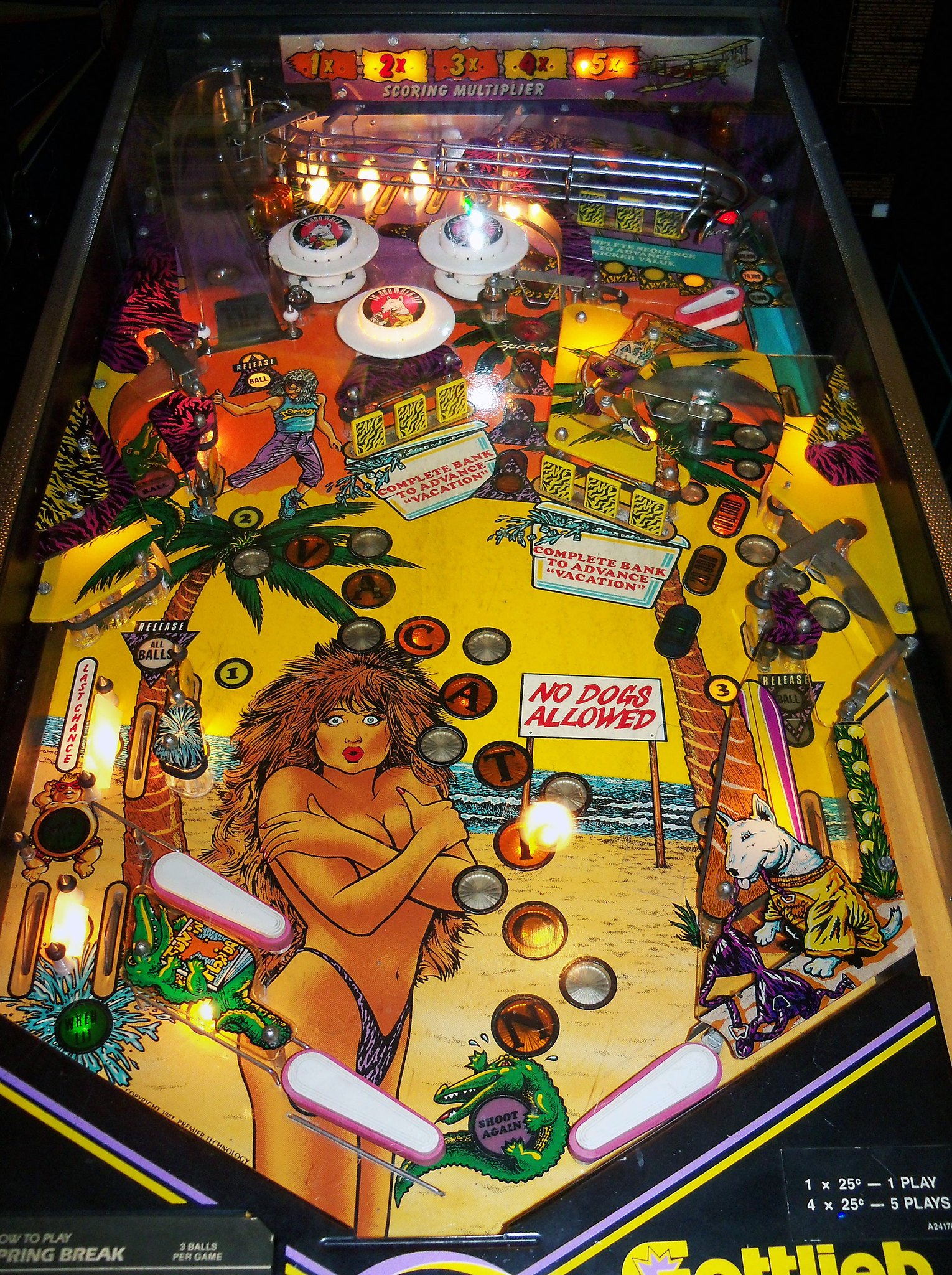53675732203_c63c0df3dd_k.jpg playfield