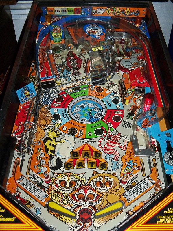 bad-cats.jpeg playfield