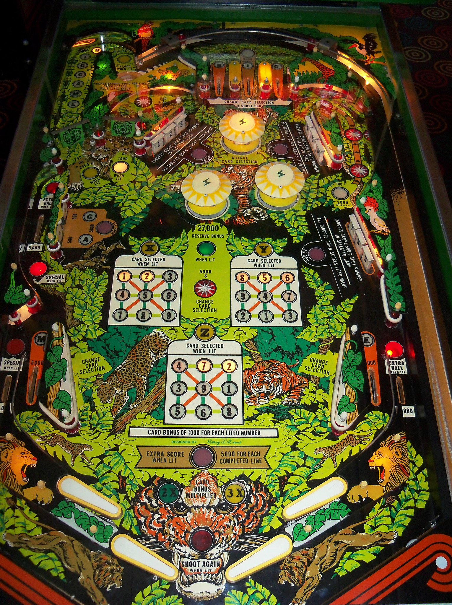 big-game.jpg playfield