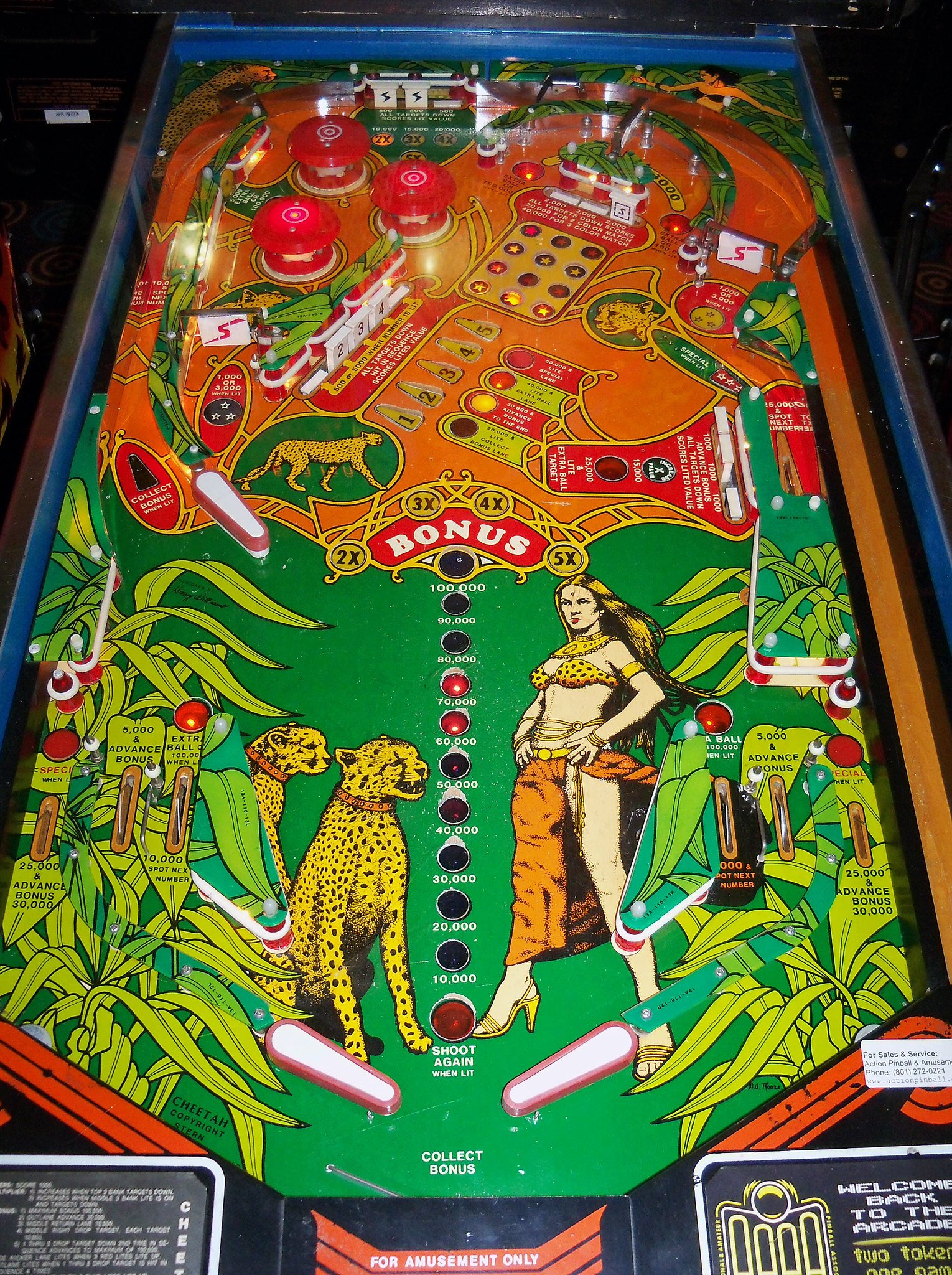 cheetah-pf.jpg playfield