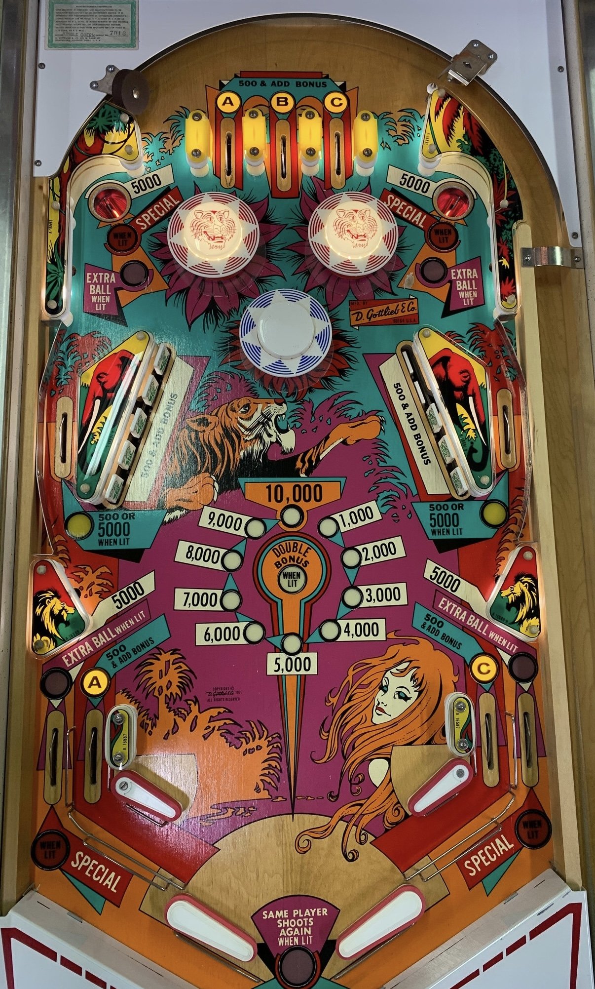 jungle-queen.jpeg playfield